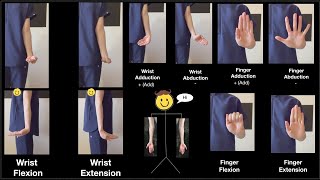 Wrist Finger Movements Flexion Extension Adduction Abduction  Explained with Real Videos [upl. by Alage]