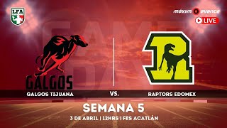 LFA EN VIVO GALGOS de Tijuana vs RAPTORS Edo MEX [upl. by Wj638]