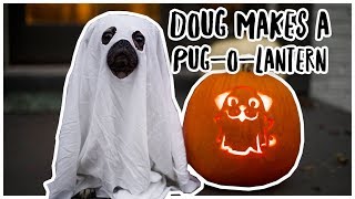 Doug Makes a PugOLantern  Doug The Pug [upl. by Inaliel965]