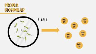 Dari Bakteri Jadi Insulin  Bioteknologi Produk Biosimilar Insulin [upl. by Mansoor20]