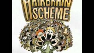 Hubbub  The Hairbrain Scheme [upl. by Burnley]