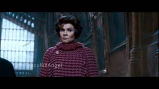 Professor McGonagall Kills Dolores Umbridge with a gun [upl. by Irisa]