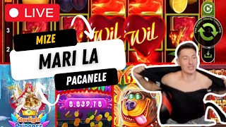 ☑️SPARGEM IAR BANI MULTI RAU DE TOT LA PACANELE PANA CASTIGAM PRAGMATICPLAY [upl. by Suoiradal596]