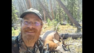 2024 Colorado OTC Archery Elk SUCCESS [upl. by Fayola517]