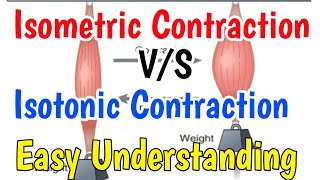 Isometric contractionIsotonic contraction Isometric contraction vs isotonic contraction [upl. by Carlye566]