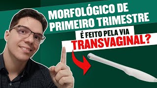 ULTRASSOM MORFOLOGICO DE PRIMEIRO TRIMESTRE TRANSLUCENCIA NUCAL É FEITO POR VIA TRANSVAGINAL [upl. by Fiedling]