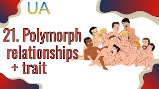 21 Комунікація між модулями Polymorphic relations Trait  scope Decorator OneOfMorphToMany UA [upl. by Storer753]