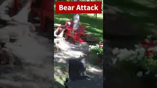 Scary Moment Bear Walked Up Behind Boy [upl. by Den798]