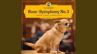 Tail Orchestra  Symphony No 3 III quotPedigree Jumbone” [upl. by Attelahs]