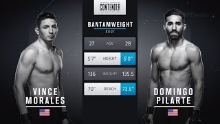 FREE FIGHT  Pilarte Capitalizes to Secure RNC  DWCS Week 5 Contract Winner  Season 2 [upl. by Madeleine]