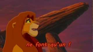 Le Roi Lion 2  Nous sommes un lyrics [upl. by Anita692]