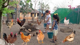 🔴Poderosos consejos al juntar huevos y alimentar las gallinas en el gallinero Alina‼️ [upl. by Aicenaj333]