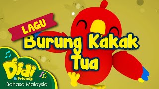 Lagu Kanak Kanak  Burung Kakak Tua  Didi amp Friends [upl. by Kuska]