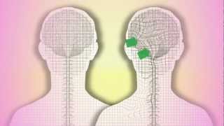 CranioSacral Therapy What is it How does it work by Tad Wanveer [upl. by Brill457]