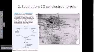 Proteomics [upl. by Epstein]