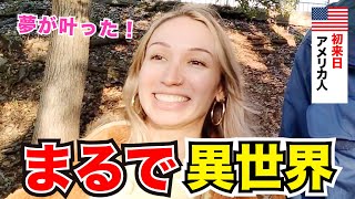 「日本人は親切で温かい！いつでも助けようとしてくれる」外国人観光客にインタビュー｜ようこそ日本へ！Welcome to Japan [upl. by Ived]