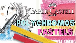 Faber Castell Polychromos Pastels  Review [upl. by Dietz]