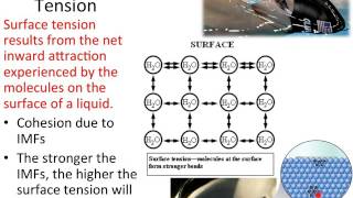 Properties and Intermolecular Forces [upl. by Packer]