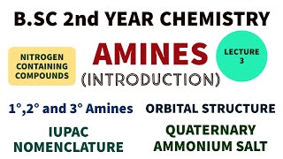 Amines  Introduction  Nitrogen Compounds  IUPAC  1°2° and 3° Amines  BSC 2nd Year Chemistry [upl. by Galven]