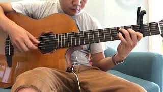 Phai dấu cuộc tình Betrayal  Guitar Solo Cover  Fingerstyle [upl. by Rolyab]