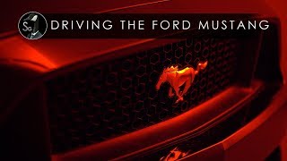 Driving The Ford Mustang GT  Crowd Hunter [upl. by Ridan]