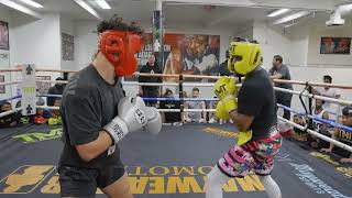 Floyd Mayweather Vs Jarvis Sparring 2023 Full HD [upl. by Walley152]