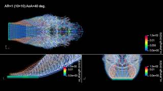 The Full nonlinear vortex TubeVorton Method FTVM Pimentel 2023 [upl. by Nylitak]