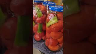 Canning tomatoes 600subscribers canningtomatoes [upl. by Allie604]