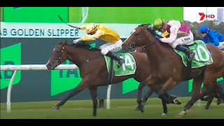 20232024 Season 79 Australian Guineas Day  Golden Slipper Stakes Day [upl. by Kassab839]