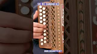 Shorts  8 Bassi  SUL BEL DANUBIO BLU  Accordion diatonic organetto [upl. by Milton]