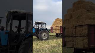 МТЗ ЛЕГЕНДА automobile agrimotor farming tractermodification agriculture [upl. by Arabeila523]