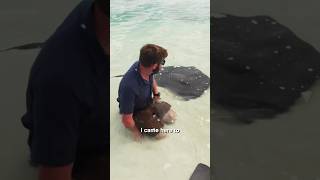 Stingrays Are Friendly [upl. by Zack]