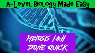 Meiosis I amp II  A Level Biology Made Easy [upl. by Haroved]