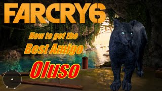 How to get the BEST Amigo Oluso in Far Cry 6 [upl. by Corty]