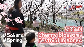 Korea  Indonesia Family Vlog  Cherry Blossoms Festival with kids [upl. by Ecirtnom]