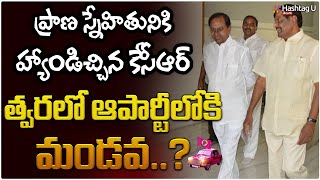 Mandava Venkateswara Rao To Contest In 2023 Elections  CM KCR  HashtagU [upl. by Agamemnon]