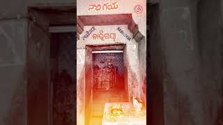 గిరిజాదేవి శక్తిపీఠం  Biraja Devi Temple Jajpur  Baitarani river  Sanathana Dharmam [upl. by Mot]