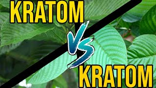 Green Maeng Da vs Green Malay Kratom [upl. by Durrace]