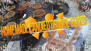 Trader Joe Inspired  Candied Orange Slices [upl. by Ahsila]