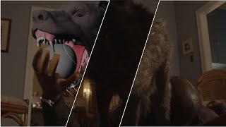 Zoo VFX Breakdown by Zoic Studios [upl. by Mihcaoj]