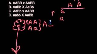 Which of the following is the testcross How to find if the plant is homozygous or heterozygous [upl. by Rufus]