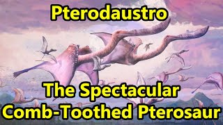 Pterodaustro The Spectacular CombToothed Pterosaur [upl. by Lilas]