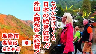 【リアルな海外の反応】びっくり！ほぼ全員 外国人観光客！馬籠（まごめ） 妻籠（つまご） 奈良井（ならい） 素晴らしい紅葉と懐かしい日本の原風景 [upl. by Wiseman]