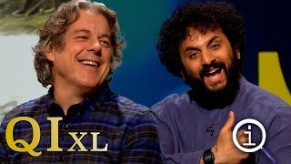 QI Series 18 XL Quads amp Quins  With Aisling Bea Nish Kumar amp David Mitchell [upl. by Amaras]