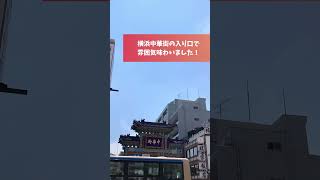 横浜中華街の入り口 横浜 中華街 観光 [upl. by Kettie501]