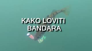 Kako loviti bandara [upl. by Udenihc]