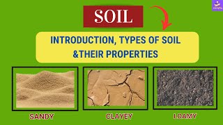 quotExploring Sandy Clayey and Loamy Soil Types Formation and Significance quot  Class 7 [upl. by Ulyram74]