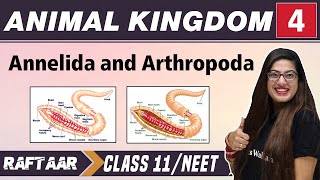 Animal Kingdom 04  Annelida and Arthropoda  Class 11NEET  RAFTAAR [upl. by Ahcatan]