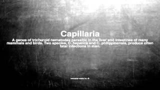 Medical vocabulary What does Capillaria mean [upl. by Cavallaro]