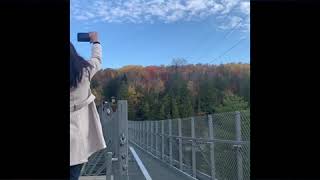 Ranney Gorge Suspension Bridge [upl. by Asserak]